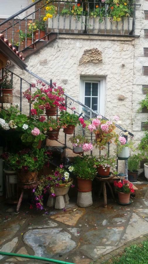 Casa Hostal Olga - Castilla Y Leon Cofiñal エクステリア 写真